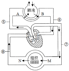 菁優(yōu)網(wǎng)