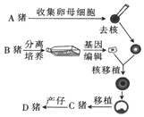 菁優(yōu)網