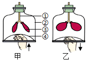 菁優(yōu)網(wǎng)