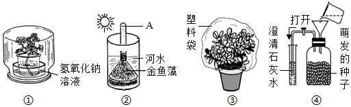 菁優(yōu)網(wǎng)