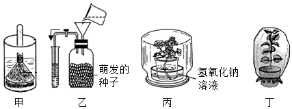 菁優(yōu)網(wǎng)