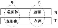 菁優(yōu)網(wǎng)