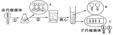 菁優(yōu)網