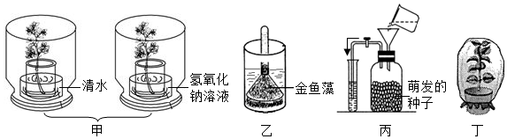 菁優(yōu)網(wǎng)