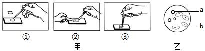 菁優(yōu)網(wǎng)