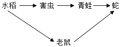 菁優(yōu)網