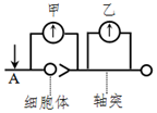 菁優(yōu)網(wǎng)