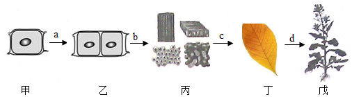 菁優(yōu)網