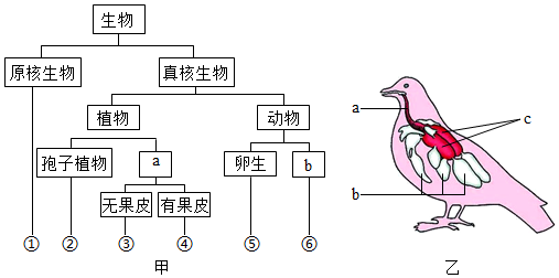 菁優(yōu)網(wǎng)