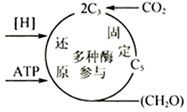 菁優(yōu)網(wǎng)