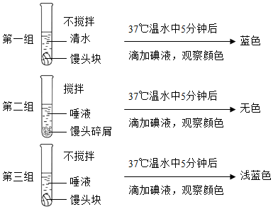 菁優(yōu)網