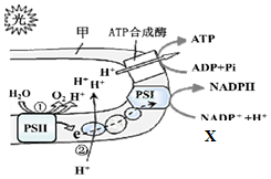 菁優(yōu)網