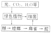 菁優(yōu)網(wǎng)