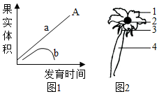 菁優(yōu)網