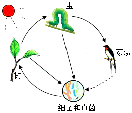 菁優(yōu)網(wǎng)