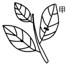 菁優(yōu)網(wǎng)