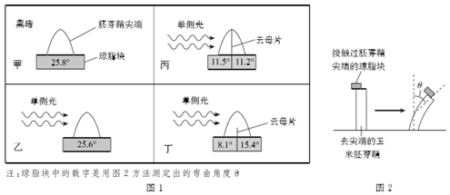 菁優(yōu)網