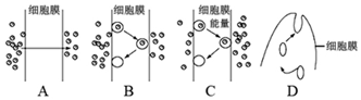 菁優(yōu)網