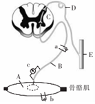 菁優(yōu)網(wǎng)