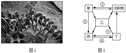 菁優(yōu)網(wǎng)