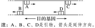 菁優(yōu)網(wǎng)