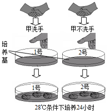 菁優(yōu)網(wǎng)