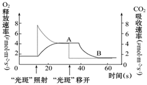 菁優(yōu)網