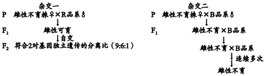 菁優(yōu)網