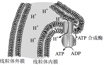 菁優(yōu)網