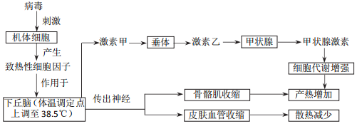 菁優(yōu)網(wǎng)