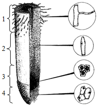 菁優(yōu)網