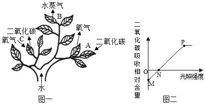 菁優(yōu)網(wǎng)