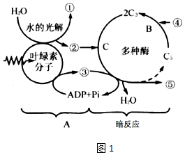 菁優(yōu)網(wǎng)