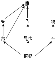 菁優(yōu)網(wǎng)