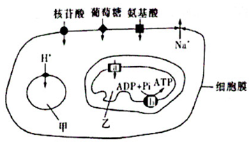 菁優(yōu)網(wǎng)