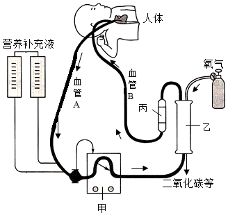 菁優(yōu)網(wǎng)