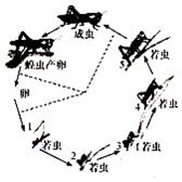 菁優(yōu)網