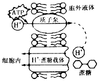 菁優(yōu)網(wǎng)