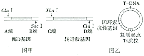 菁優(yōu)網(wǎng)