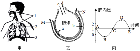 菁優(yōu)網(wǎng)