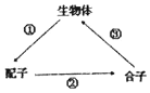 菁優(yōu)網(wǎng)