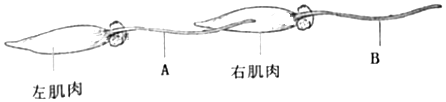 菁優(yōu)網(wǎng)