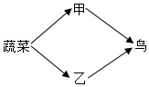 菁優(yōu)網(wǎng)