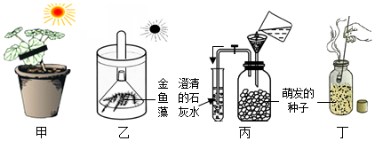 菁優(yōu)網(wǎng)