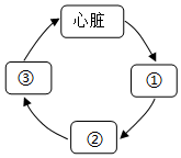 菁優(yōu)網(wǎng)