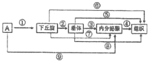 菁優(yōu)網(wǎng)