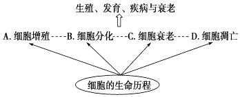 菁優(yōu)網