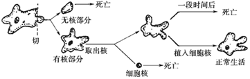 菁優(yōu)網