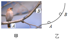 菁優(yōu)網(wǎng)