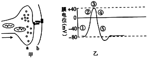 菁優(yōu)網(wǎng)